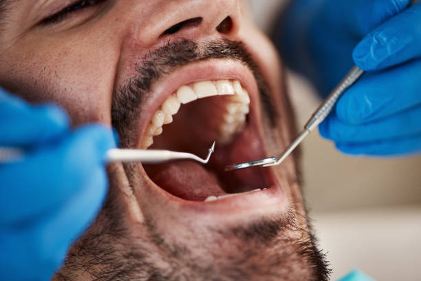 Best Emergency Orthodontic Repairs in Lake Magdalene, FL